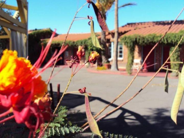 La Siesta Motel Tucson Exteriör bild